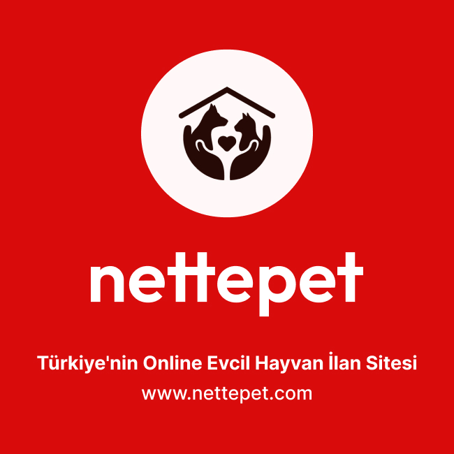 Minik oğluma yeni yuva 