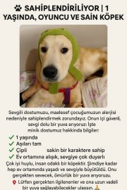 classified-image